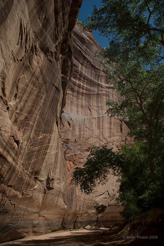 Canyon_de_Chelley_20070609_0107.jpg