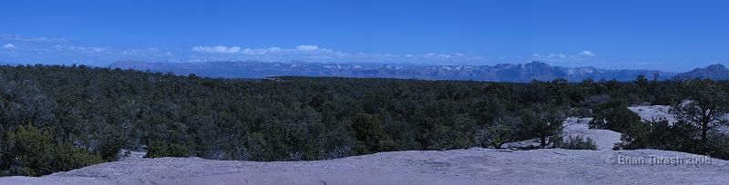 GooseBerryPanorama.jpg